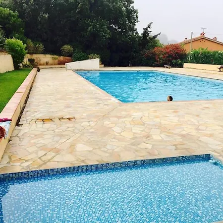 Les Hibiscus * سانت-ماندرييه-سور-مير