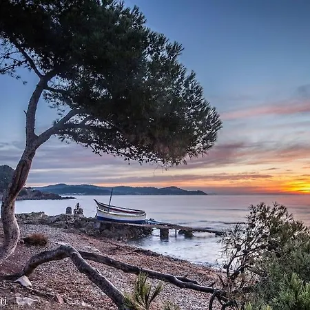 Les Hibiscus * Saint-Mandrier-sur-Mer