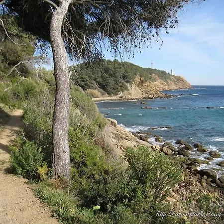 Les Hibiscus Apartman *